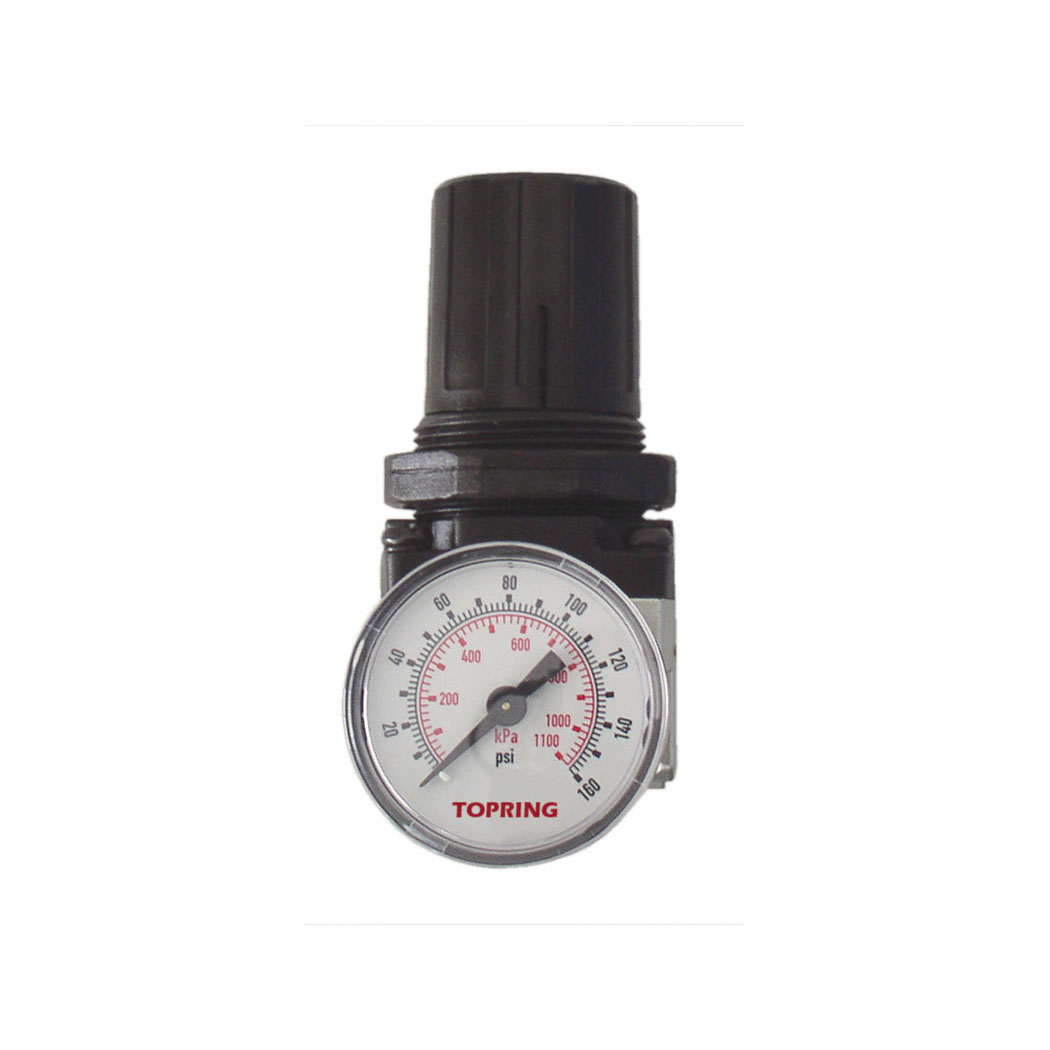 Aluminum Regulator 5 to 125 PSI 1/4 (F) NPT S51