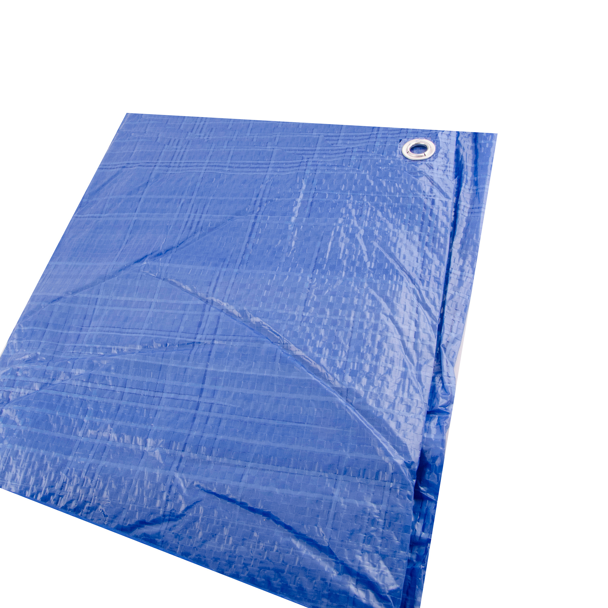 BÂCHE BLEUE DE 20 PI X 30 PI