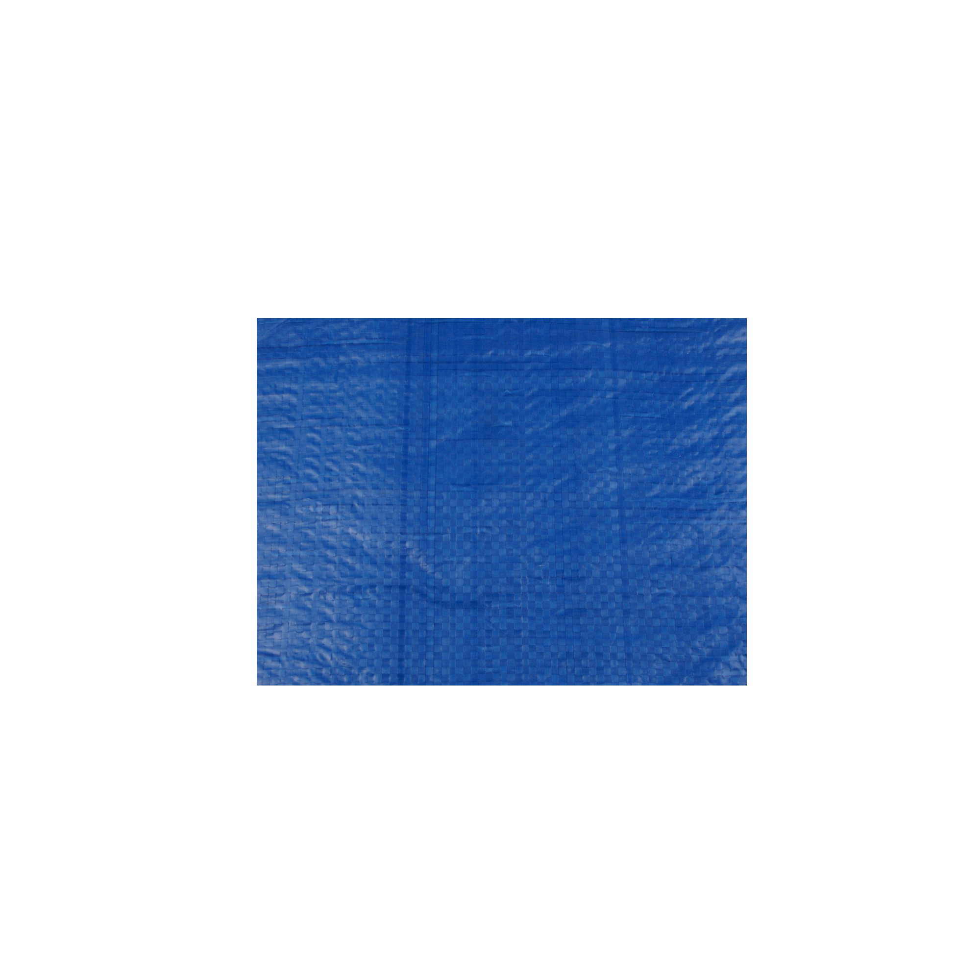 BÂCHE BLEUE DE 20 PI X 30 PI