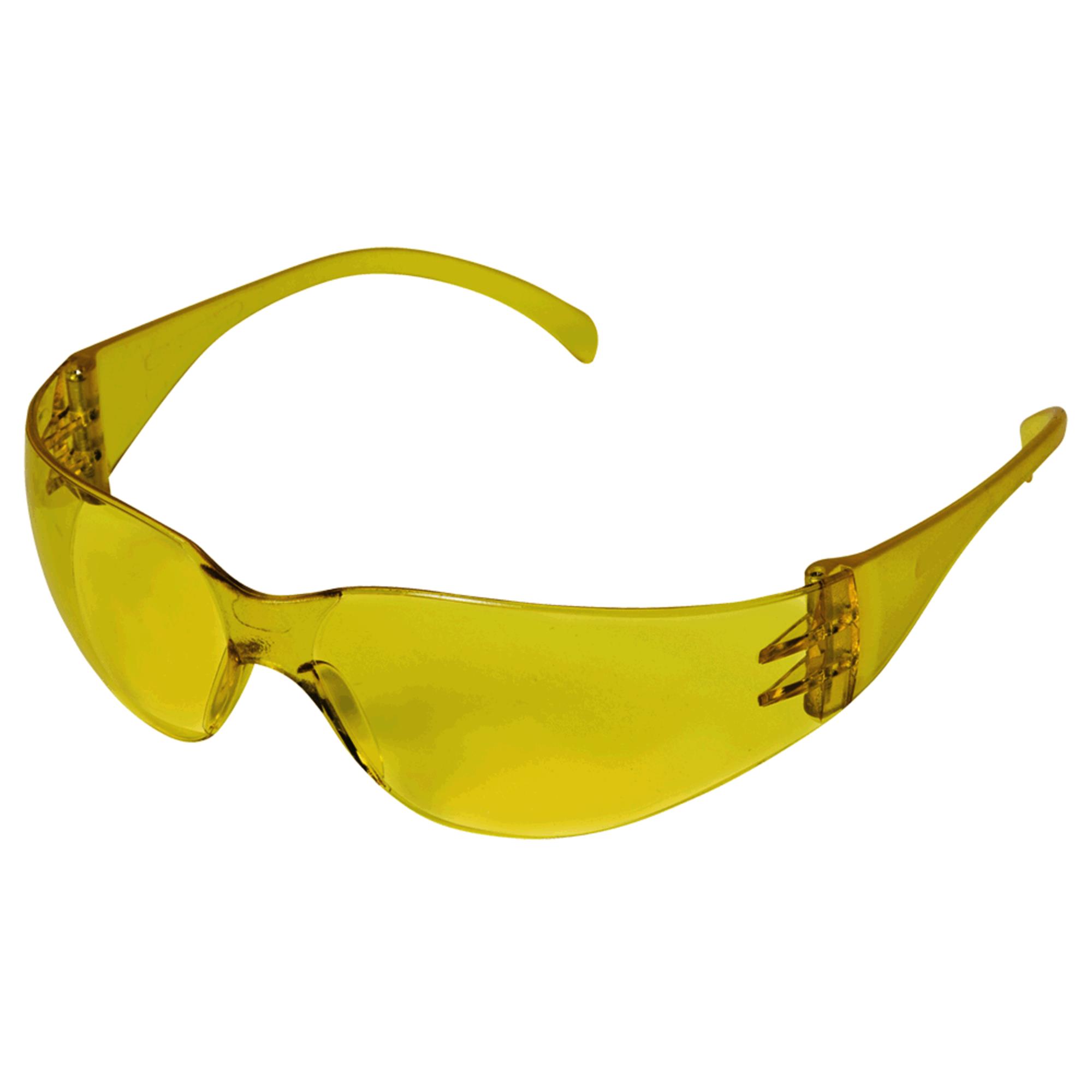 X300 Safety Glasses